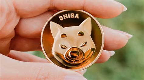 shiba inu coin gucci|who created shiba inu coin.